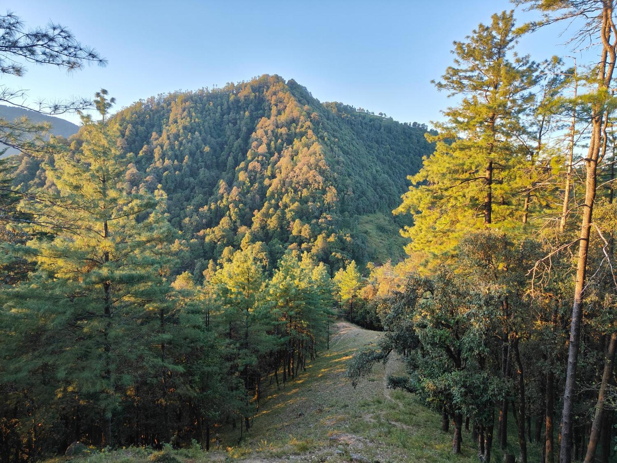 Himwanderer Camps & Cottages Pangot Найнітал Екстер'єр фото
